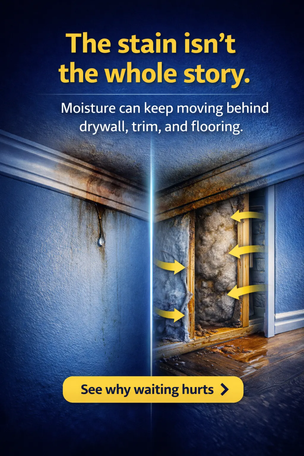 Stain isn't the whole story moisture spreads sample ad